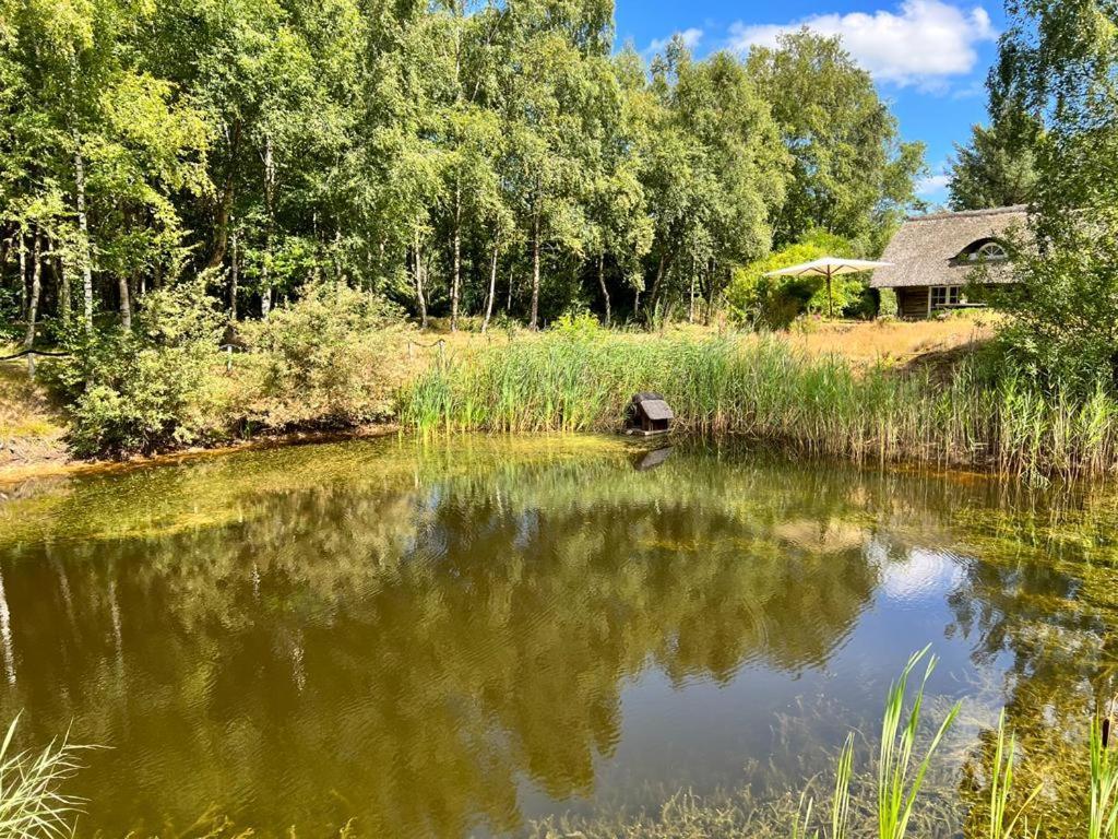 Ferienhaus Mayland Humptrup المظهر الخارجي الصورة